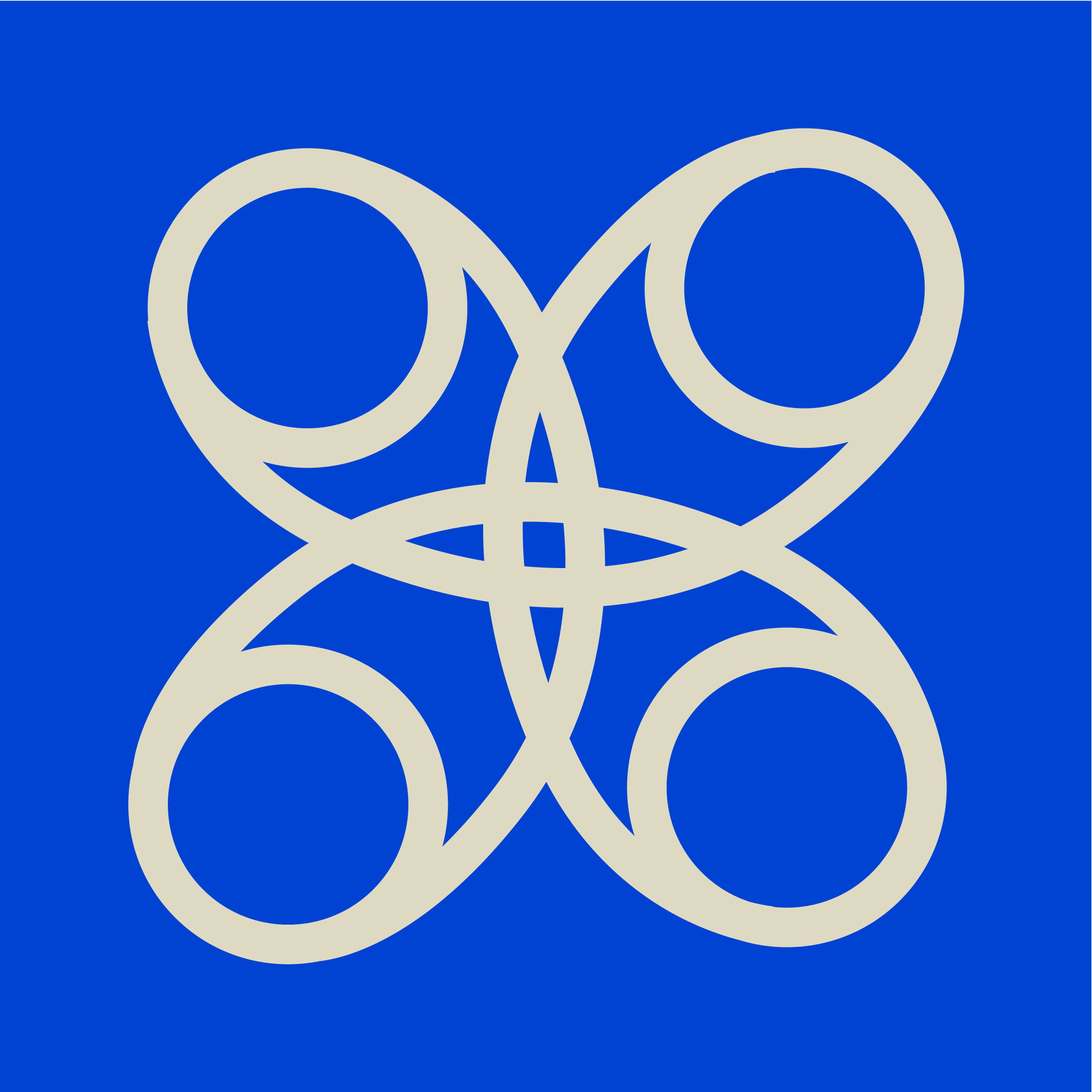 VV principes Solidariteit kleur